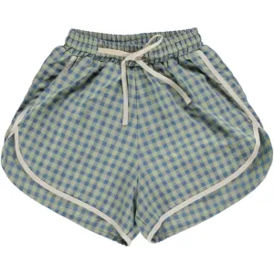 Swim Shorts | Blue Check